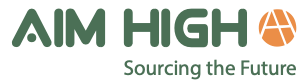 Aim High Logo